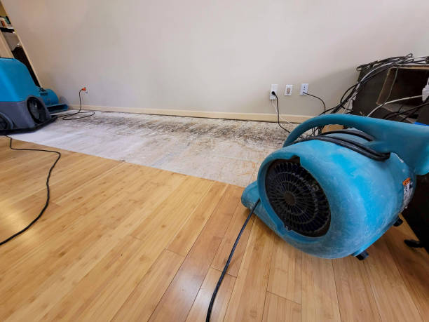 Professional Ceiling Water Damage Repair technician working in Kingsland, GA
